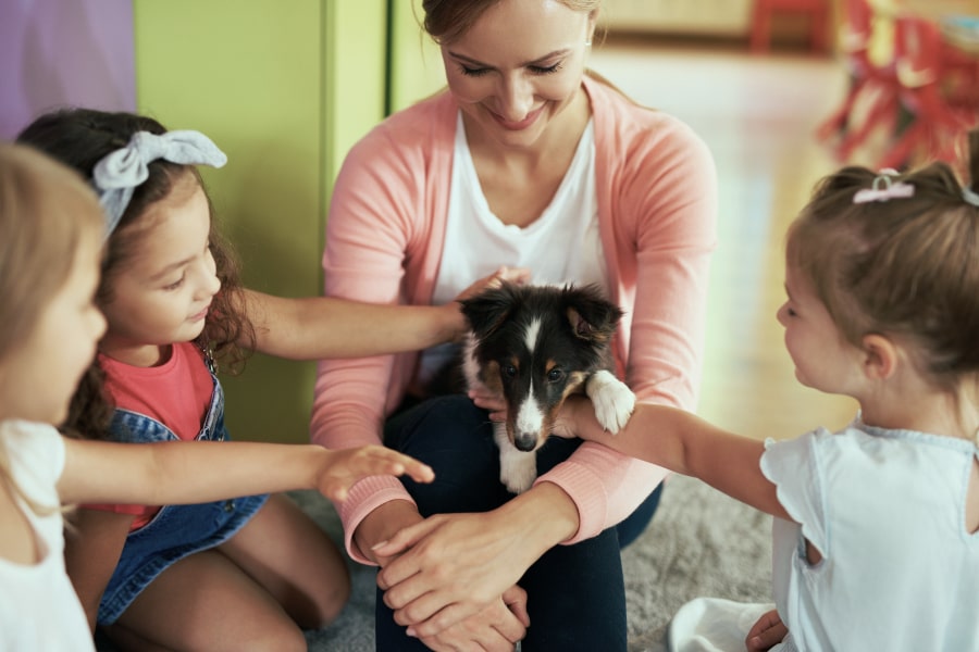 Children with a dog Blog image