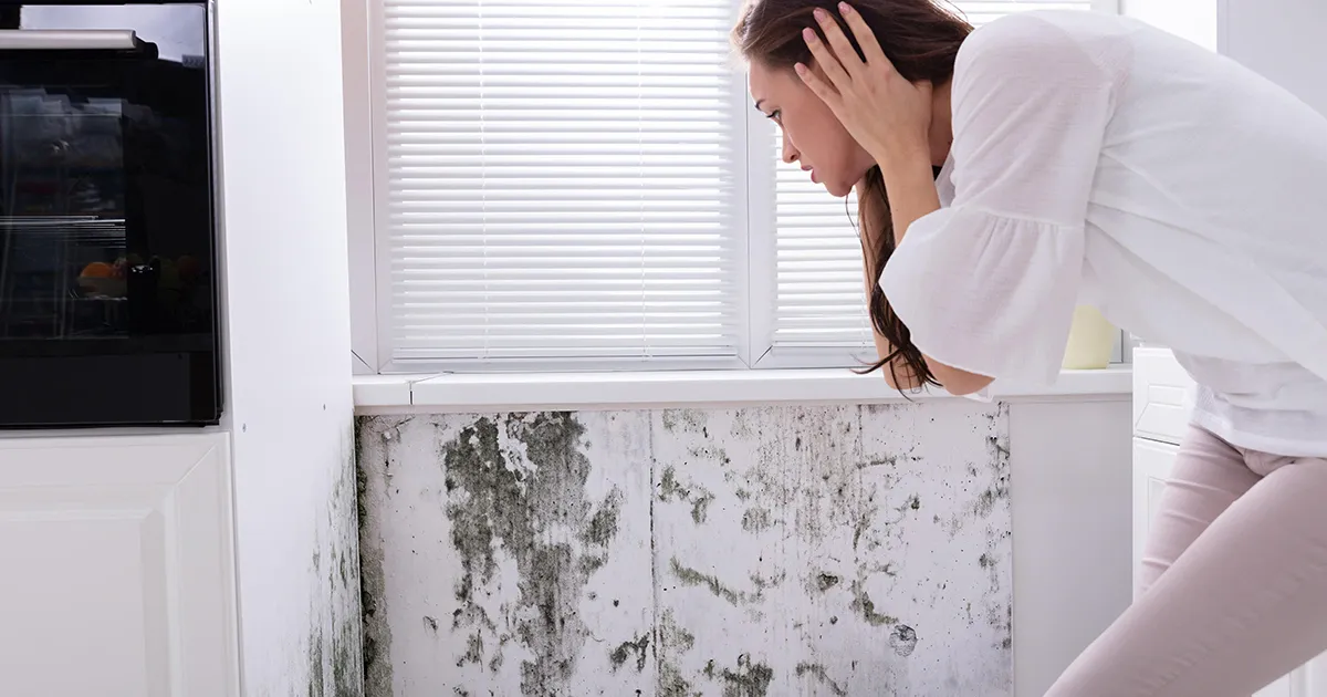 Where Is Mold Most Likely to Cause Headaches