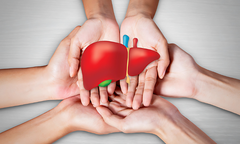 liver detox