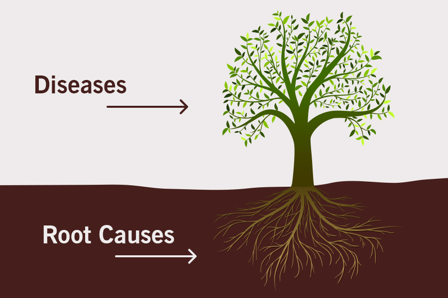 Functional Medicine