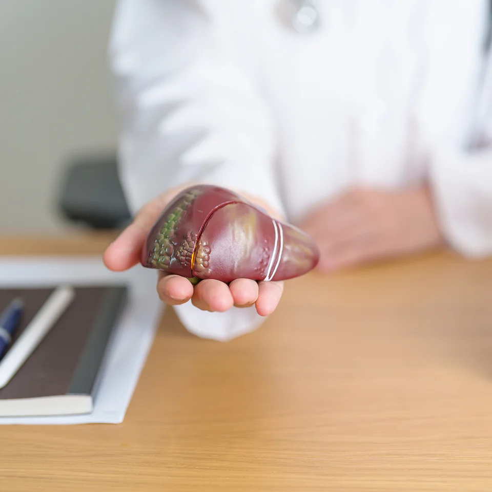 Lyme Disease & Vector-Borne Infections